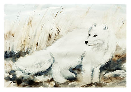 Arctic fox watercolor painting